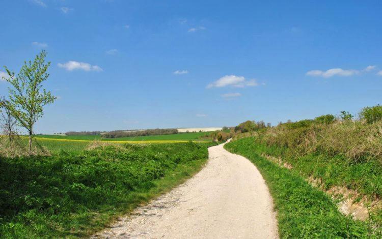The Run, West Lavant Chichester Kültér fotó